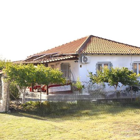 Amarantos Beautiful Garden House Villa Metokhion Patriotikon Exterior foto